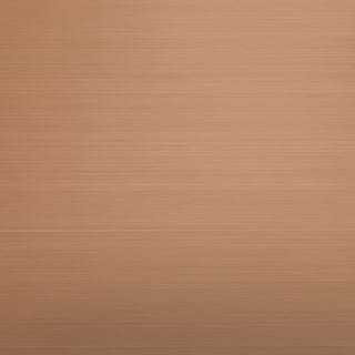 SCS-08 Stainless Steel Sample 